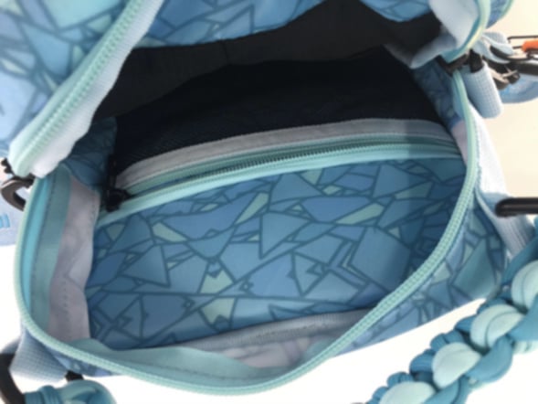 *** PRE-SALE *** BBS x Ice Cold Freshies Bag