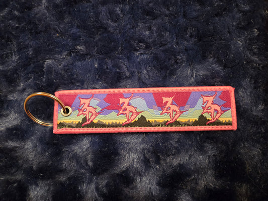 Northern Lights Flight Tag Keychain