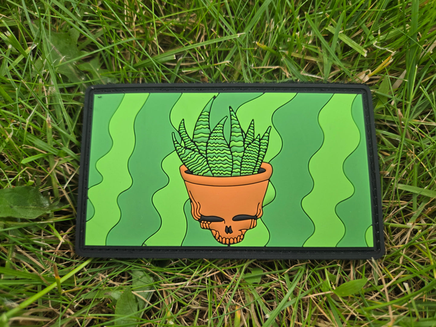 Steal Your Snake Plant PVC Patch